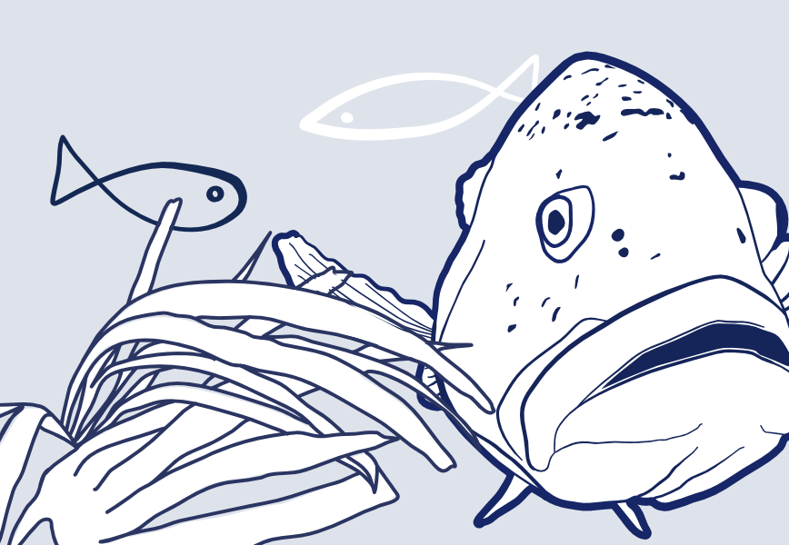 reservas_marinhas_thumbnails