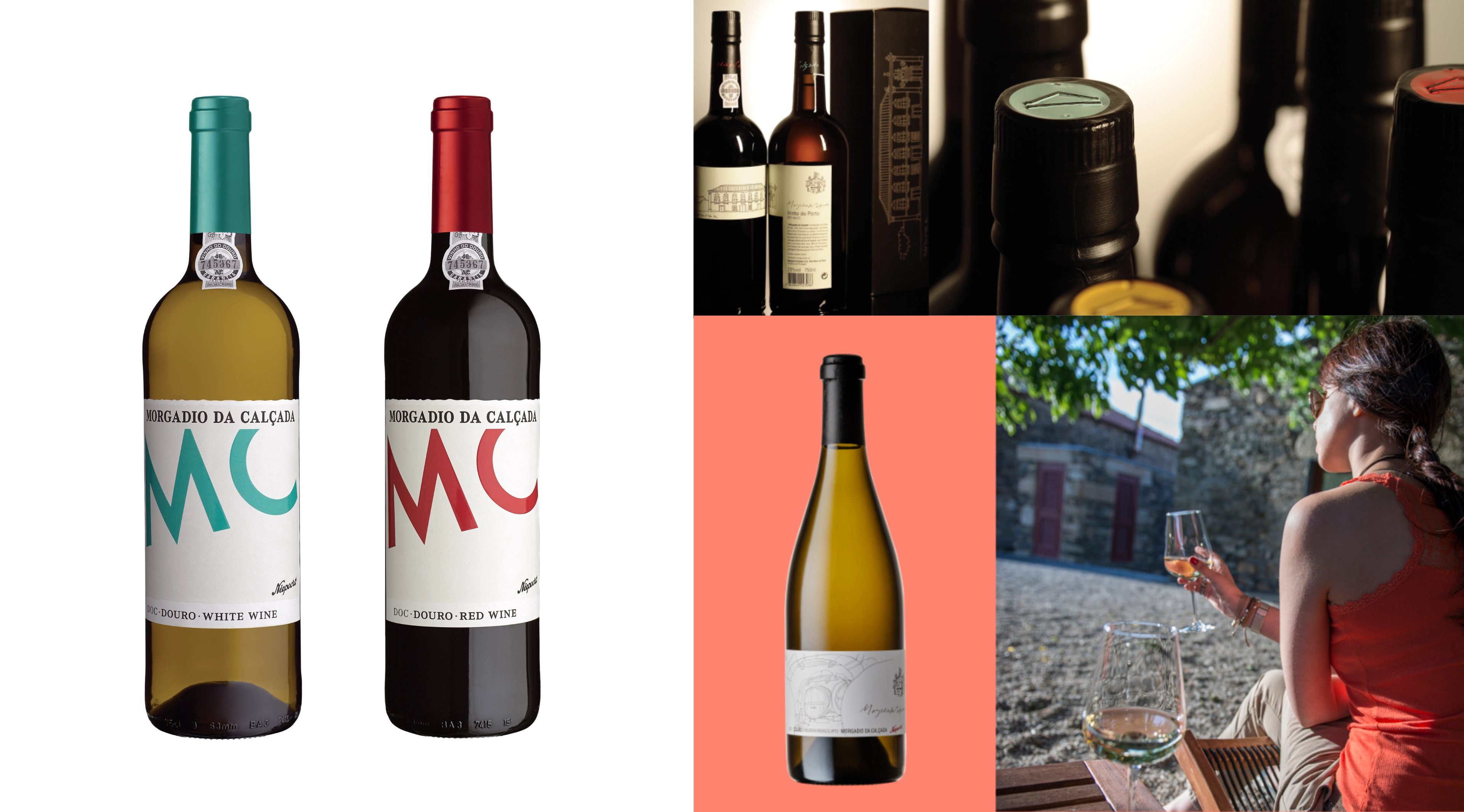 vinhos_8_new